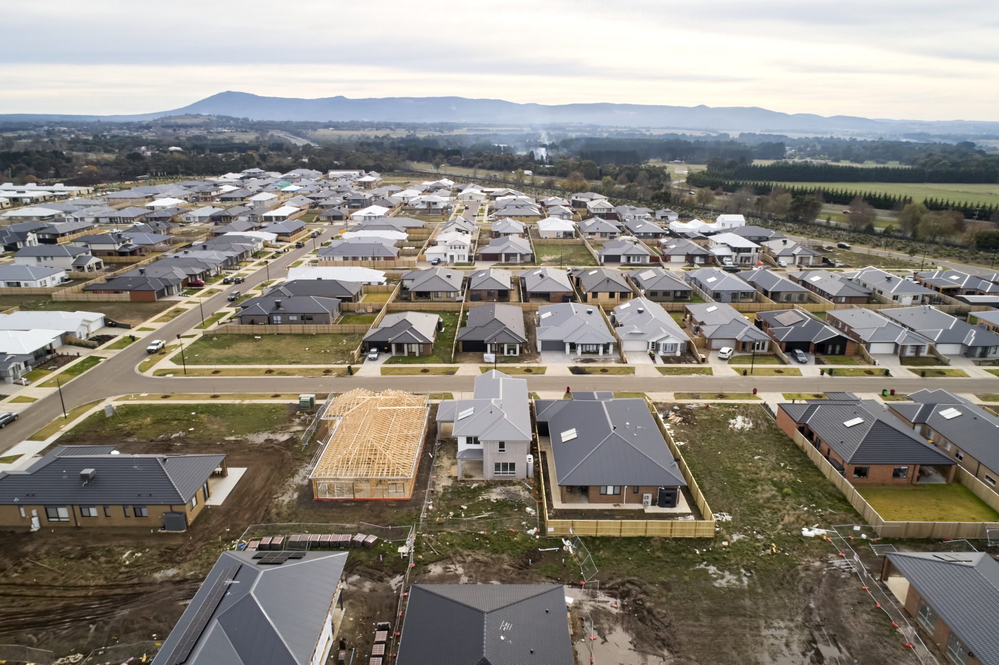 SALES & CONSTRUCTION UPDATE Willow Gisborne